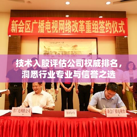 技術(shù)入股評估公司權(quán)威排名，洞悉行業(yè)專業(yè)與信譽之選