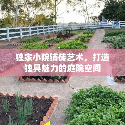 獨家小院鋪磚藝術，打造獨具魅力的庭院空間