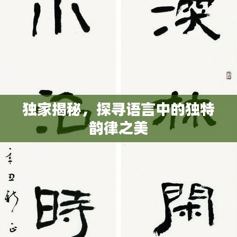 獨家揭秘，探尋語言中的獨特韻律之美