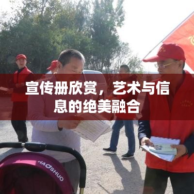 宣傳冊欣賞，藝術與信息的絕美融合