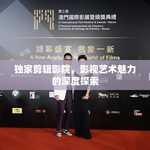 獨家剪輯影院，影視藝術魅力的深度探索