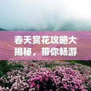 春天賞花攻略大揭秘，帶你暢游花海世界！