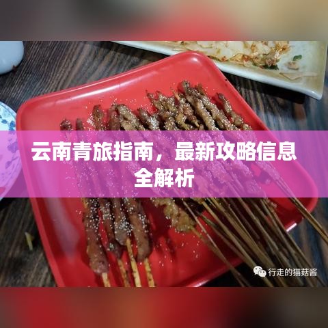 云南青旅指南，最新攻略信息全解析