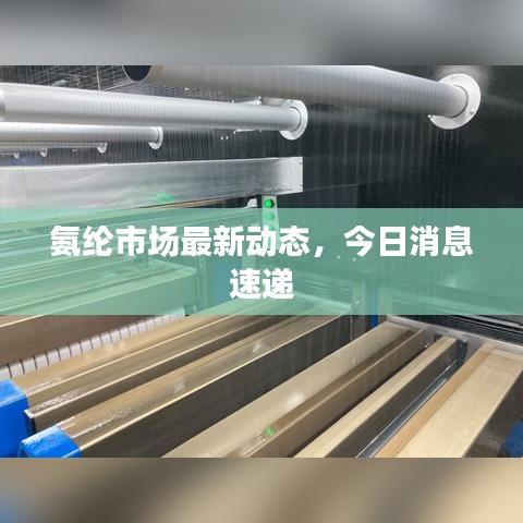 氨綸市場(chǎng)最新動(dòng)態(tài)，今日消息速遞