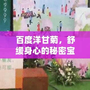 百度洋甘菊，舒緩身心的秘密寶藏，全網(wǎng)熱議熱議熱議！