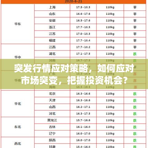 突發(fā)行情應(yīng)對策略，如何應(yīng)對市場突變，把握投資機會？
