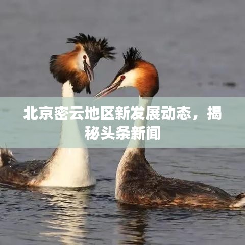 北京密云地區(qū)新發(fā)展動(dòng)態(tài)，揭秘頭條新聞