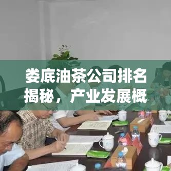 婁底油茶公司排名揭秘，產(chǎn)業(yè)發(fā)展概覽