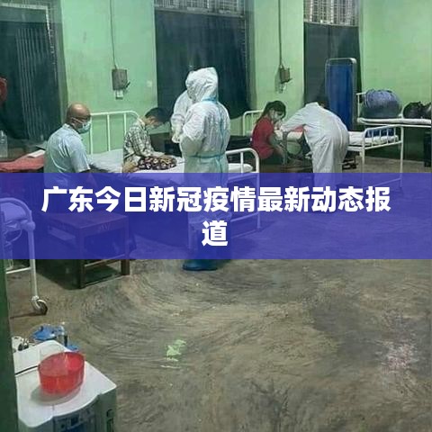 還淳反素 第2頁(yè)