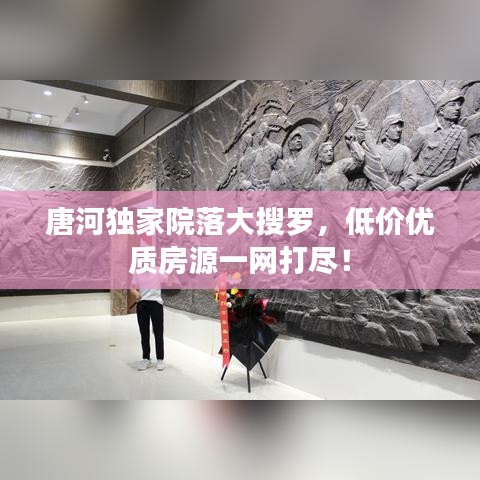 唐河獨(dú)家院落大搜羅，低價(jià)優(yōu)質(zhì)房源一網(wǎng)打盡！