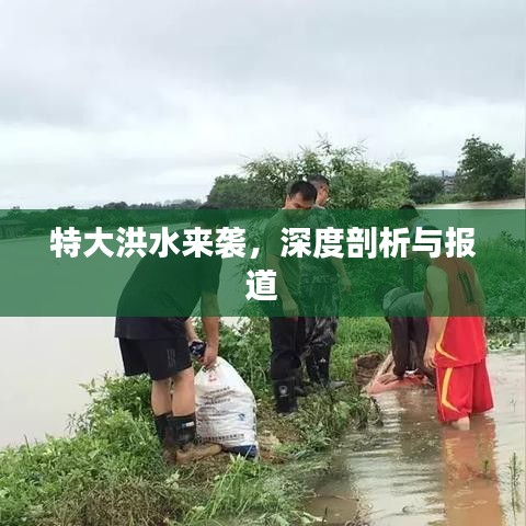 特大洪水來襲，深度剖析與報道