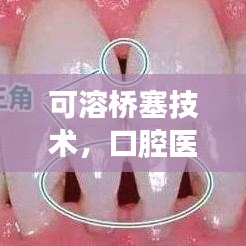自作主張 第2頁(yè)