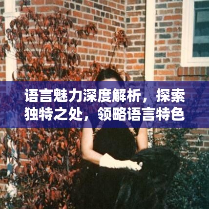 語(yǔ)言魅力深度解析，探索獨(dú)特之處，領(lǐng)略語(yǔ)言特色專題的魅力