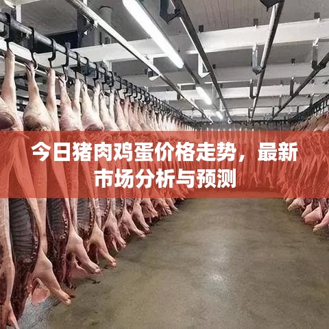 今日豬肉雞蛋價格走勢，最新市場分析與預(yù)測