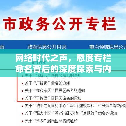 網(wǎng)絡(luò)時(shí)代之聲，態(tài)度專欄命名背后的深度探索與內(nèi)涵解析