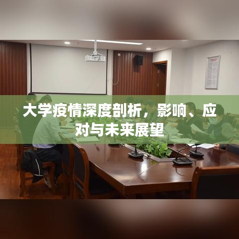 大學(xué)疫情深度剖析，影響、應(yīng)對與未來展望