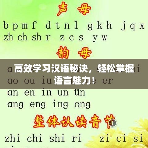 高效學(xué)習(xí)漢語(yǔ)秘訣，輕松掌握語(yǔ)言魅力！