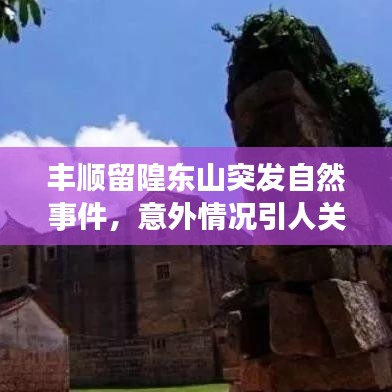 豐順留隍東山突發(fā)自然事件，意外情況引人關(guān)注