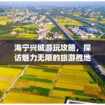 綱舉目張 第2頁