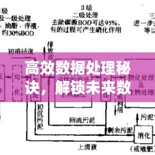 高效數(shù)據(jù)處理秘訣，解鎖未來數(shù)據(jù)處理的關(guān)鍵技術(shù)！