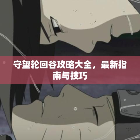 守望輪回谷攻略大全，最新指南與技巧