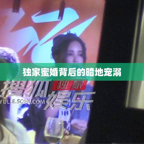 獨家蜜婚背后的暗地寵溺