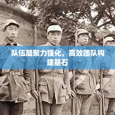 隊伍凝聚力強化，高效團隊構建基石