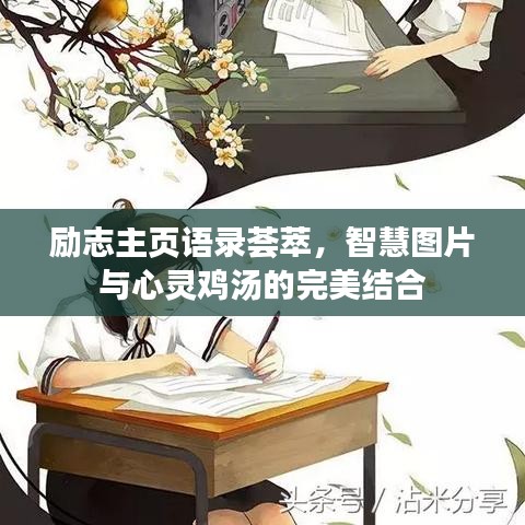 勵(lì)志主頁(yè)語錄薈萃，智慧圖片與心靈雞湯的完美結(jié)合