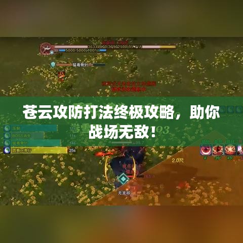 蒼云攻防打法終極攻略，助你戰(zhàn)場(chǎng)無(wú)敵！