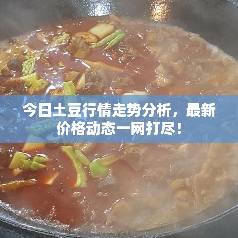 今日土豆行情走勢分析，最新價格動態(tài)一網(wǎng)打盡！