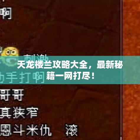 天龍樓蘭攻略大全，最新秘籍一網(wǎng)打盡！