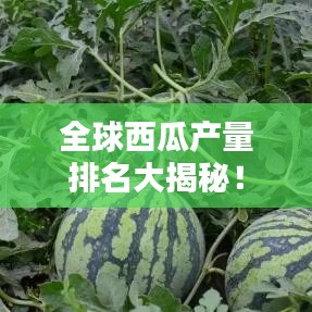 死得其所 第2頁