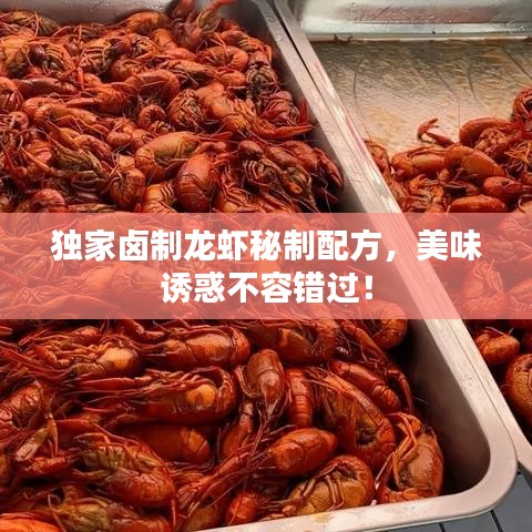 獨(dú)家鹵制龍蝦秘制配方，美味誘惑不容錯(cuò)過！