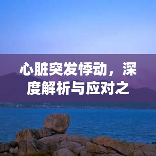 心臟突發(fā)悸動，深度解析與應(yīng)對之道