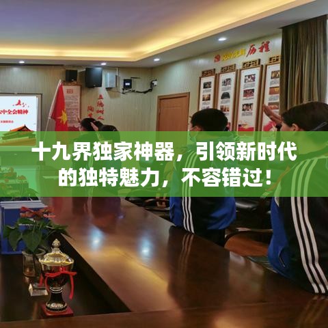 十九界獨家神器，引領(lǐng)新時代的獨特魅力，不容錯過！