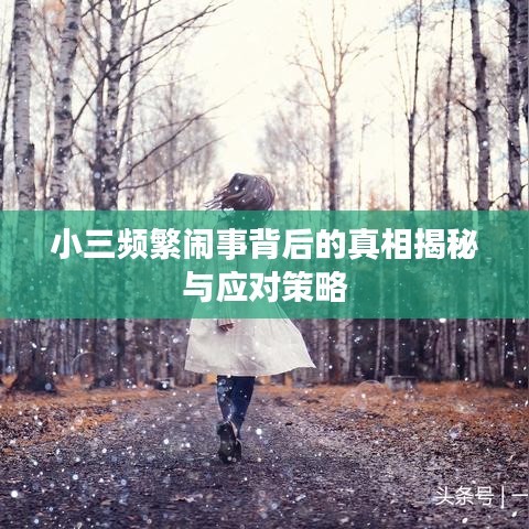 走馬觀花 第2頁(yè)