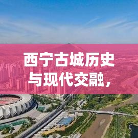 西寧古城歷史與現(xiàn)代交融，頭條新聞直播盛況