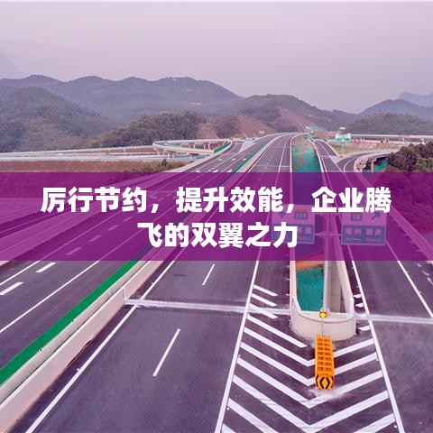 厲行節(jié)約，提升效能，企業(yè)騰飛的雙翼之力