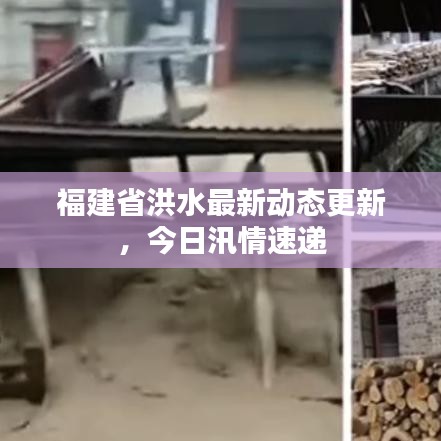 福建省洪水最新動(dòng)態(tài)更新，今日汛情速遞