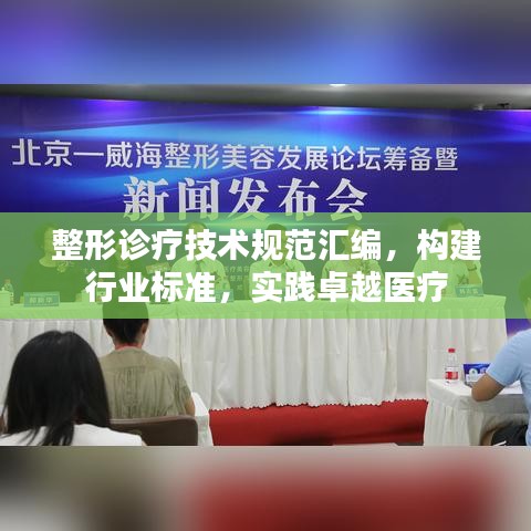 整形診療技術(shù)規(guī)范匯編，構(gòu)建行業(yè)標(biāo)準(zhǔn)，實(shí)踐卓越醫(yī)療