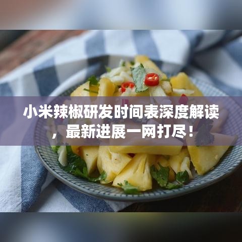 小米辣椒研發(fā)時間表深度解讀，最新進(jìn)展一網(wǎng)打盡！