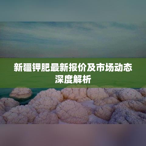 新疆鉀肥最新報(bào)價(jià)及市場動(dòng)態(tài)深度解析