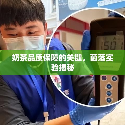 奶茶品質(zhì)保障的關(guān)鍵，菌落實(shí)驗(yàn)揭秘
