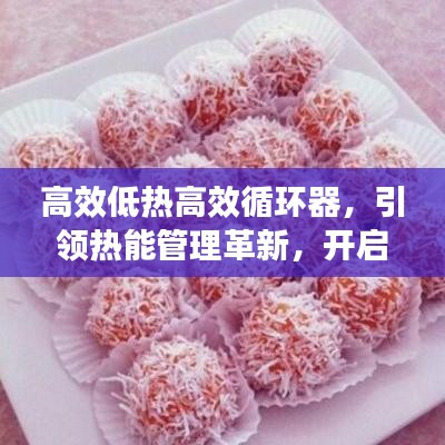 高效低熱高效循環(huán)器，引領(lǐng)熱能管理革新，開(kāi)啟新時(shí)代篇章
