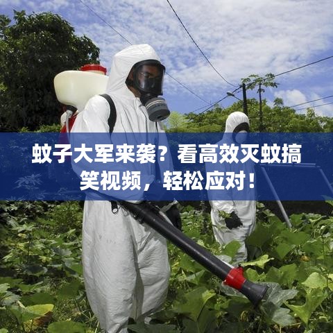 蚊子大軍來襲？看高效滅蚊搞笑視頻，輕松應(yīng)對！