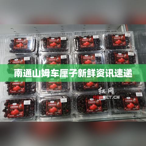 南通山姆車(chē)?yán)遄有迈r資訊速遞