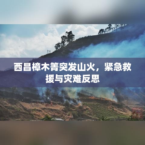 西昌樟木箐突發(fā)山火，緊急救援與災難反思