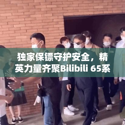 獨家保鏢守護安全，精英力量齊聚Bilibili 65系列