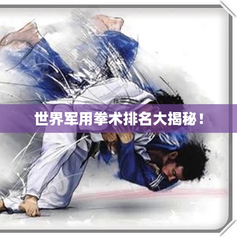 世界軍用拳術(shù)排名大揭秘！