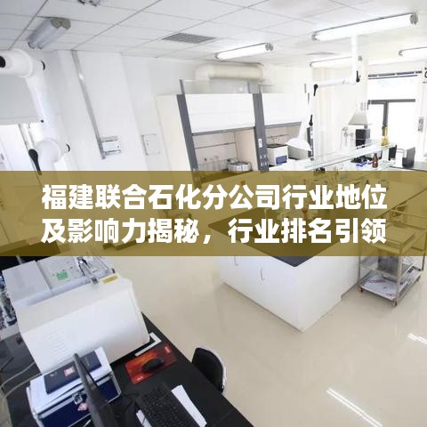 福建聯(lián)合石化分公司行業(yè)地位及影響力揭秘，行業(yè)排名引領(lǐng)石化風潮